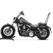 Sissybar pour Harley Dyna Street Bob/Low Rider S 09-17 craftride Tampa